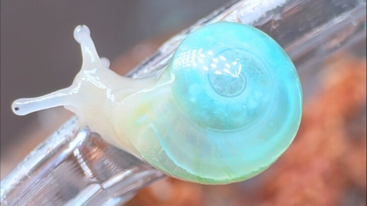 What would humans 500 years from now think when they see this?