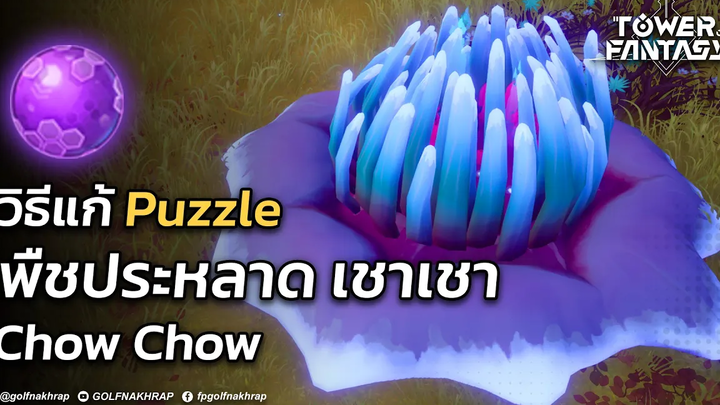TIPS & TRICKS วิธีแก้ปริศนา พืชประหลาด เชาเชา (ChowChow) Tower of Fantasy