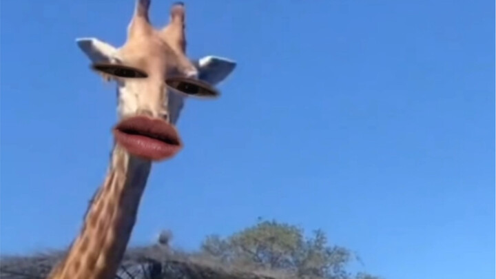 What are you doing?