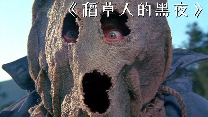 ชายคนหนึ่งถูกคนชั่วร้ายตามล่า ปลอมตัวเป็นหุ่นไล่กาแล้วเริ่มการแก้แค้นสุดบ้าคลั่ง! “ราตรีแห่งหุ่นไล่ก