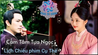 Cẩm Tâm Tựa Ngọc Chính Thức Lên Sóng | Lịch Chiếu Cụ thể