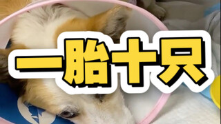 其实这都是小场面，我们医院壮丁可多了