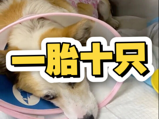 Actually, these are all minor matters—our hospital has plenty of strong young men!