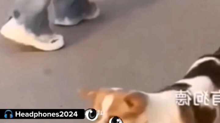 ok😁