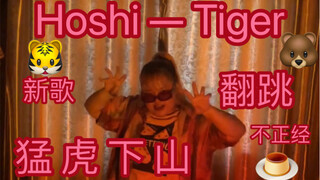 猛虎下山，Hoshi—Tiger 权顺荣新歌不正经翻跳，超凶的乱跳系列