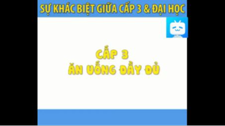 CẤP 3 & ĐẠI HỌC KHÁC NHAU NHƯ THẾ NÀO #funny