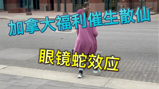 Why do these random people in Canada have money and food to eat, but still ask passers-by for money?