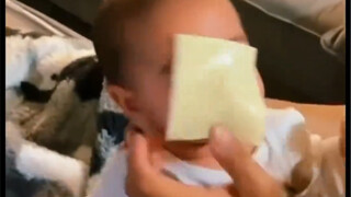 الجبن هو القوة!!