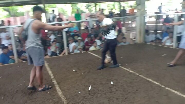 Melsims. one eye kalaban bulik