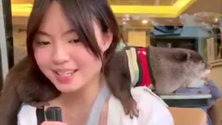 kawai juga anunya