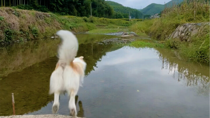 Pokoknya Mama lagi pergi dinas, nggak ada yang marahin kita.
