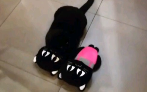 I really thought the slippers I bought were one big and one small!