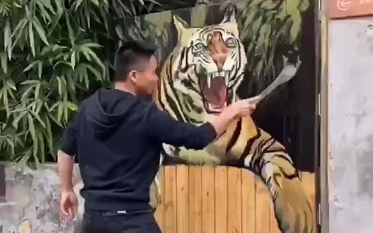 เสือร้ายปรากฏตัว