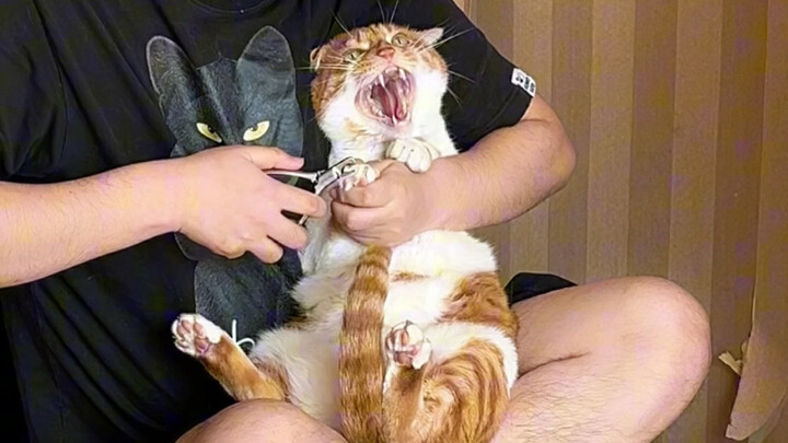 การเปลี่ยนแปลงเมื่อตัดเล็บ 4 ครั้งใน 3 เดือน