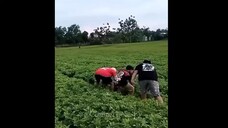 Video Lucu Dari Warga Negara +62 Yang Bikin Ngakak Parah Dehh 🤣🤣 ( Kelakuan Warga Negara Indonesia