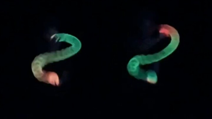 Hồi mình mua cái này sao không có hướng dẫn sử dụng vậy nhỉ?