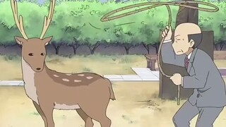 日常，我愿称之为鹿顶记之老人与鹿，全程高能