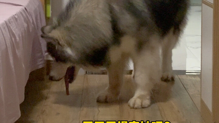 Mom, you totally scared me!