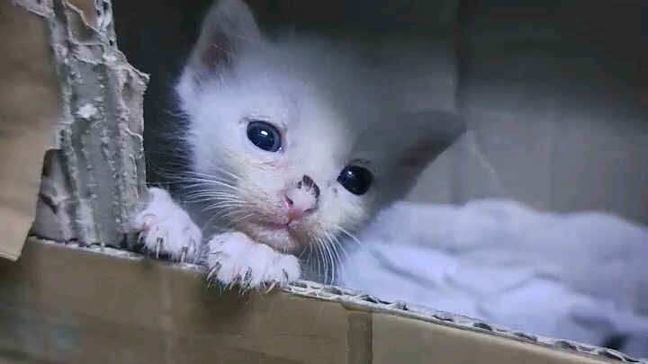 หาแม่