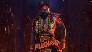 Pushpa 2 full movie HD 1440p. in Hindi (2024).