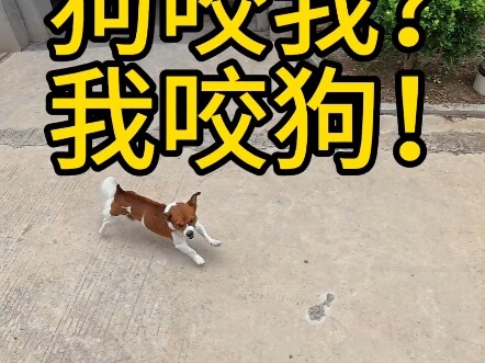 تجرؤ على ملاحقتي؟ سأجعلك تعرف عواقب ملاحقتي!