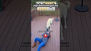 ^มีรวมคลิปเต็มชุดนี้กดดูลิงค์ด้านบนเลยจ้า^ อยู่เป็นเพื่อนเล่นกับหนูก่อน