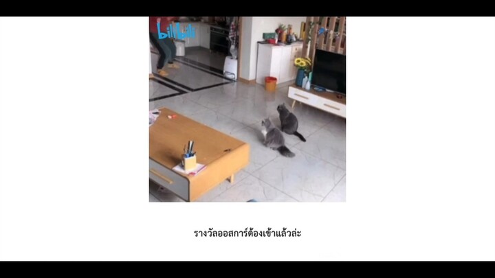 รางวัลออสก้าต้องเข้าแล้ว