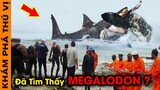 🔥 Siêu Cá Mập MEGALODON Có Khả Năng Còn Tồn Tại Và 8 Bí Ẩn Về Loài Cá Mà Chưa Ai Nói Cho Bạn Biết