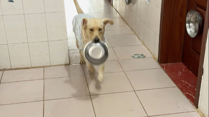 今天开饭一波三折