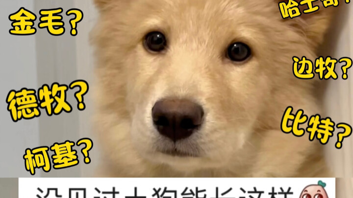 Pengujian genetik yang berani akhirnya… keluar!!