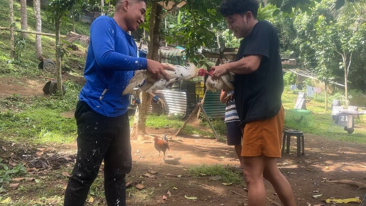 Mgkapatid sa Ina White Kelso Crossed