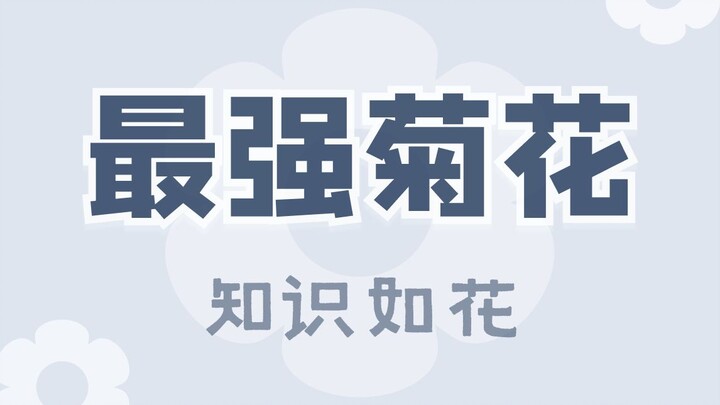 地表掌控大菊最强人top!