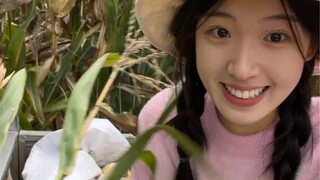 我妈说找一个一天掰十亩地的女婿.