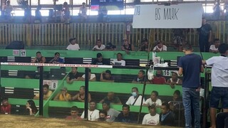 Arcontika 2 hits 1L 1W