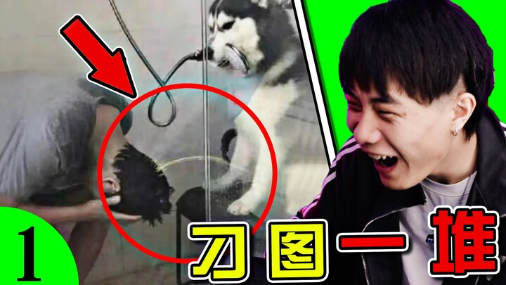 Cold water just now—how did a sudden wave of warmth suddenly hit?! Hahaha [Diaotu Yitui Season 2, Ep