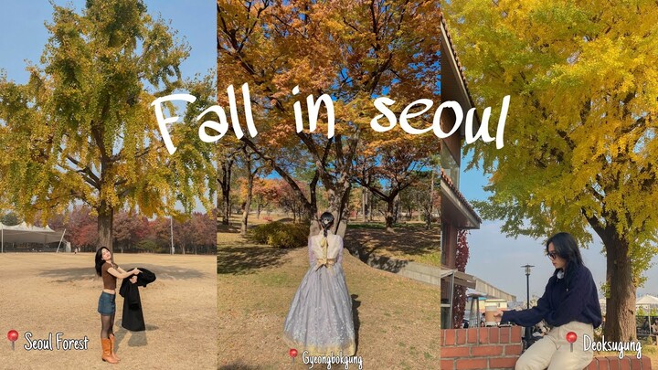 FALL IN SEOUL VLOG| Hãy ghé thăm Hàn Quốc vào mùa thu 🍂 Lần đầu tui đến những nơi này ❤️
