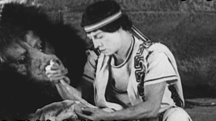 Đây là tác phẩm hài hước nhất của bậc thầy hài kịch Keaton, với đủ mọi tình tiết hài hước khiến bạn 