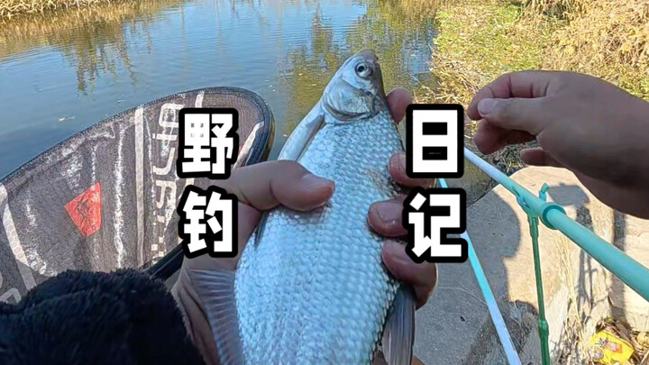 ตกปลาธรรมชาติแต่ได้ฟีลเหมือนตกในบ่อจับปลา คุณเชื่อไหม?