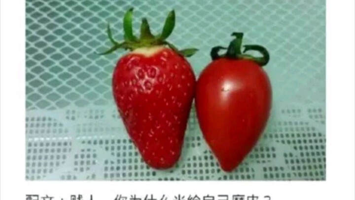 “贱人！为什么光给自己磨皮！”