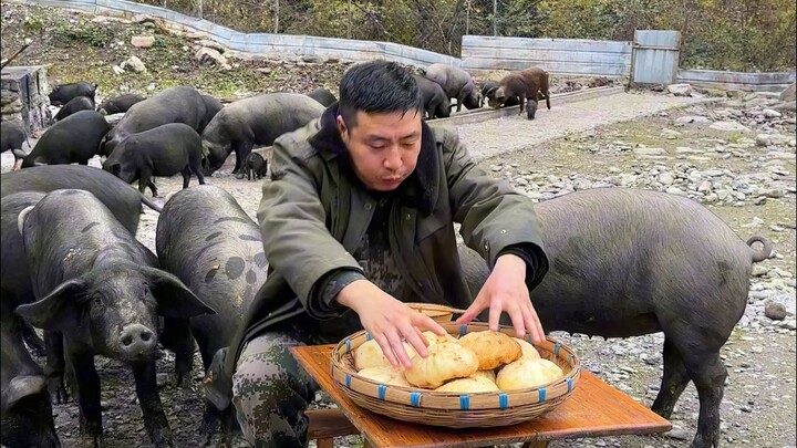 Cooking a pot of braised dishes and steamed buns—such a satisfying meal, what a delightful day!