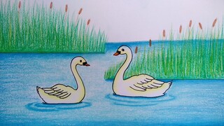 Menggambar angsa berenang || Cara menggambar dan mewarnai angsa