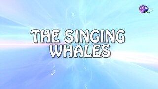 Winx Club - Sezoni 5 Episodi 19 (Shqip, Tring - Sofia Kids Club)