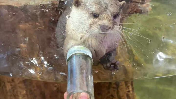 สวนสัตว์ที่ไปกับเพื่อนมาแล้วห้าหกครั้ง