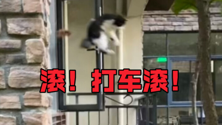 Hahahahahahahahahahahahahahahahahahahahahahahahahahahahahahahahahahahaha