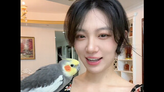 I got close to Senior Weiwei's parrot~