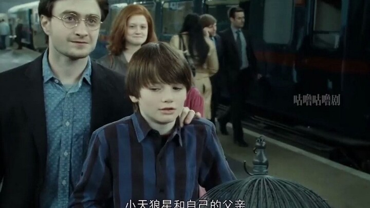 Malfoy auditioned and ended up with a bald head, while Harry still has to do his homework while acti