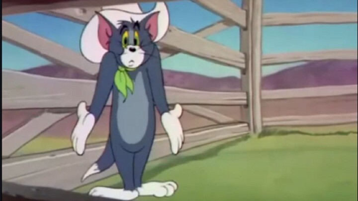 “Mèo chuột tan tành”