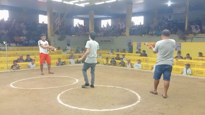 second fight talo again 😅