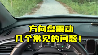 Common steering wheel vibration issues in cars—how to identify the problem yourself #CarKnowledgeSha