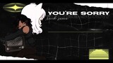 You're Sorry 【Truck-sama】